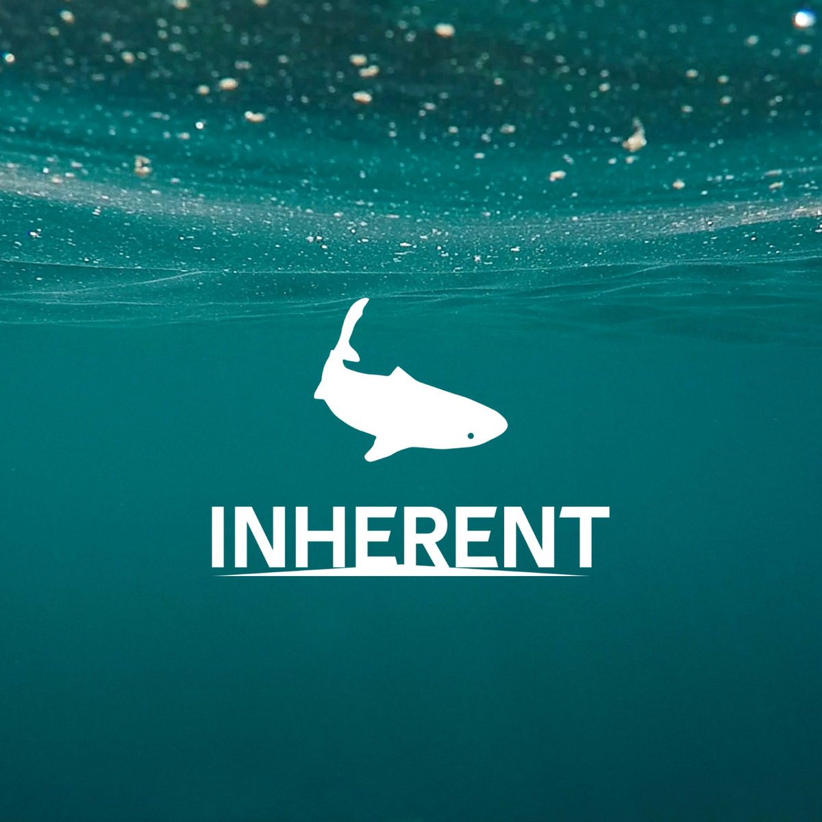 Be Inherent INHERENT™ Brand About Us: Why The Shark? – INHERENT® Online Store